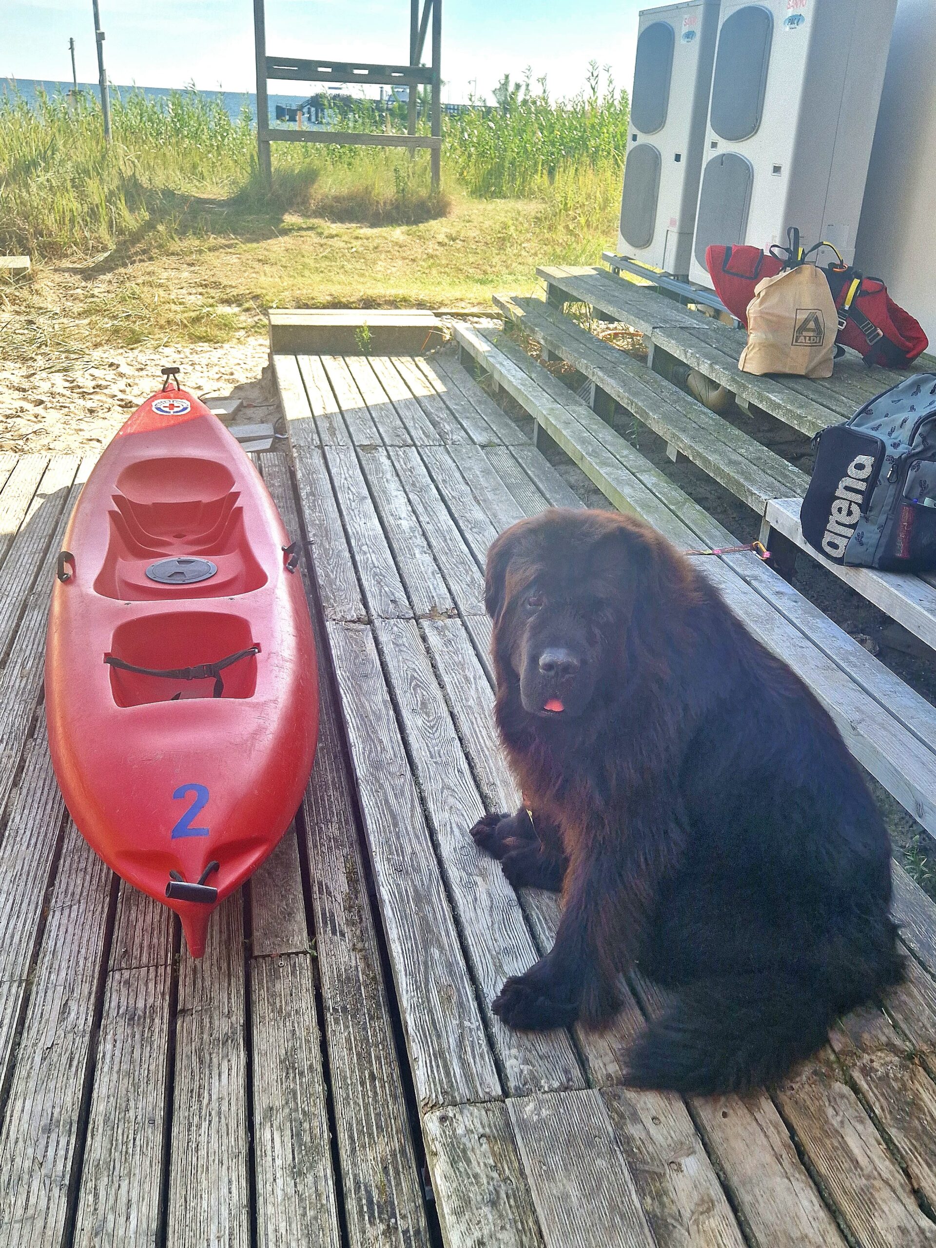 IMG-20260816-WA0037